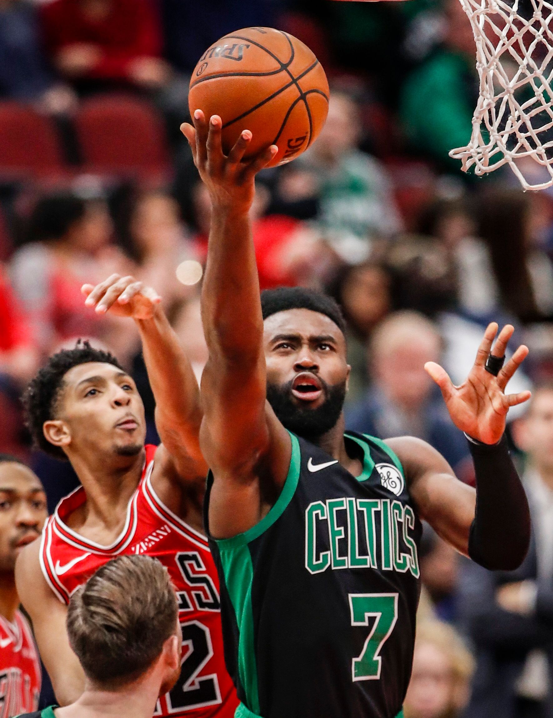 育更是迎来 育更是迎来